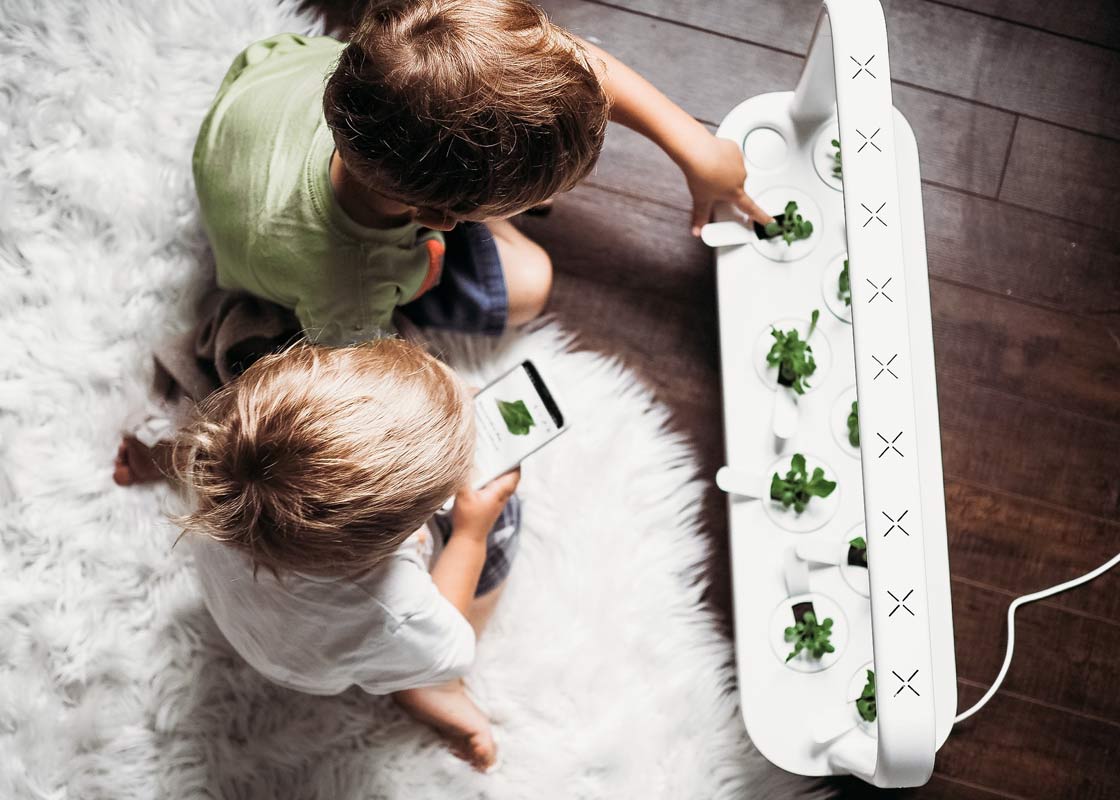 Click And Grow Smart Garden 9 Start Kit - Vit