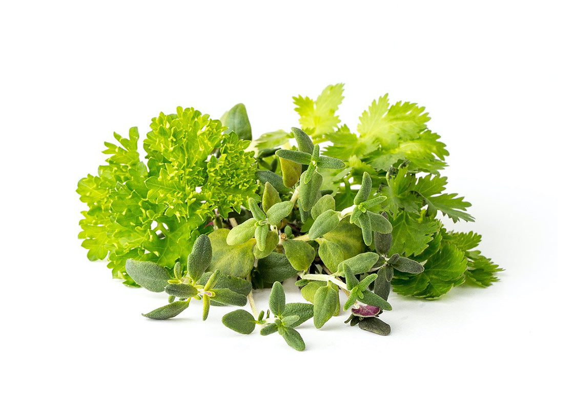 Click And Grow Smart Garden Refill 9-pack Grill & Steak