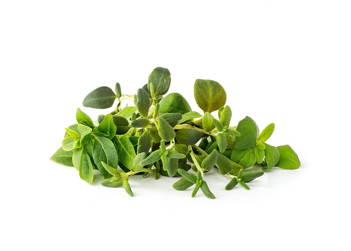 Click And Grow Smart Garden Refill 9-pack Italienska örter