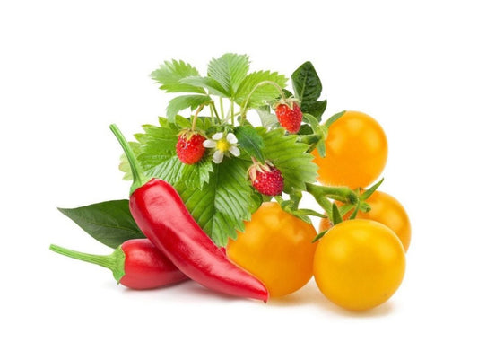 Click And Grow Smart Garden Refill 9-pack Frukt och Grönsaksmix