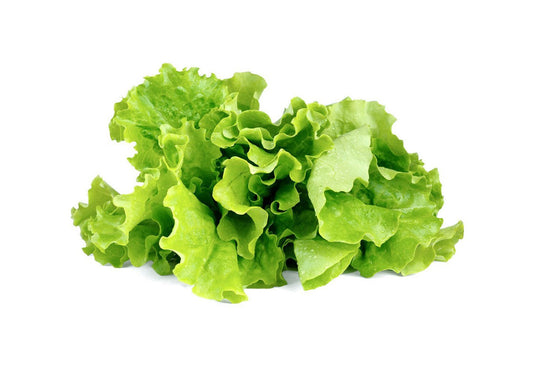 Click And Grow Refill 3-pack - Bladsallad