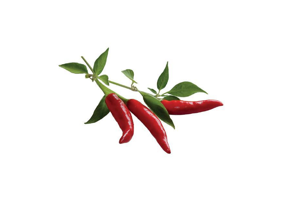 Click And Grow Refill 3-pack - Chilipeppar