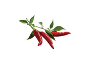 Click And Grow Refill 3-pack - Chilipeppar