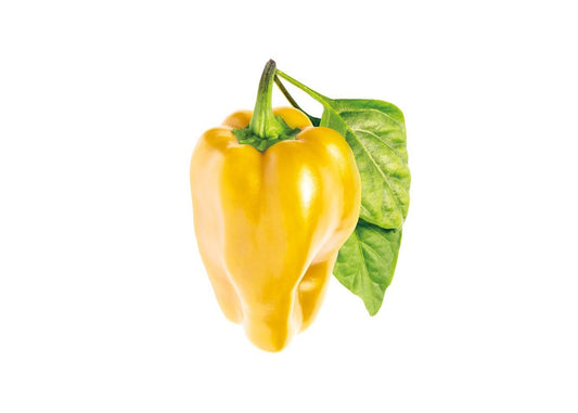 Click And Grow Refill 3-pack - Gul Paprika