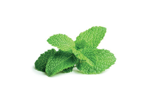 Click And Grow Refill 3-pack - Pepparmynta