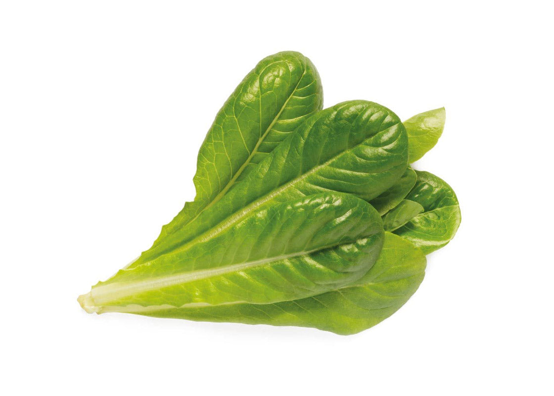 Click And Grow Refill 3-pack - Romansallad