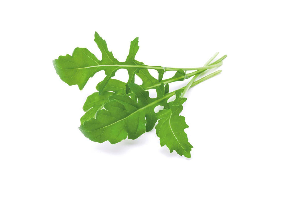 Click And Grow Refill 3-pack - Ruccola