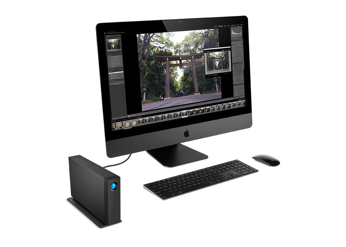 LaCie d2 Professional hårddisk USB-C - 10TB