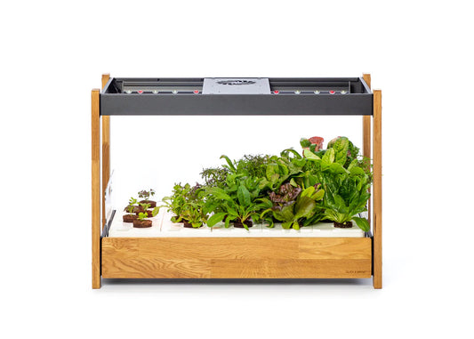 Click and Grow 25 - Svart (inkl Salad Greens 54-pack)