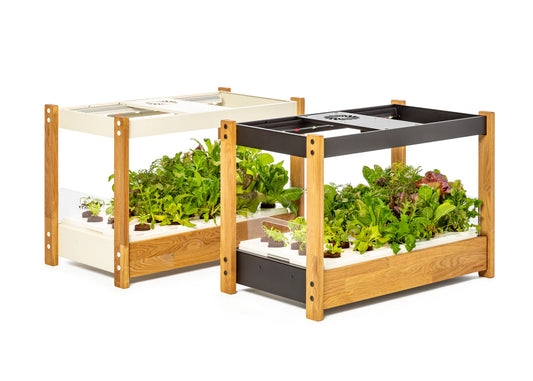 Click and Grow 25 - Svart (inkl Salad Greens 54-pack)