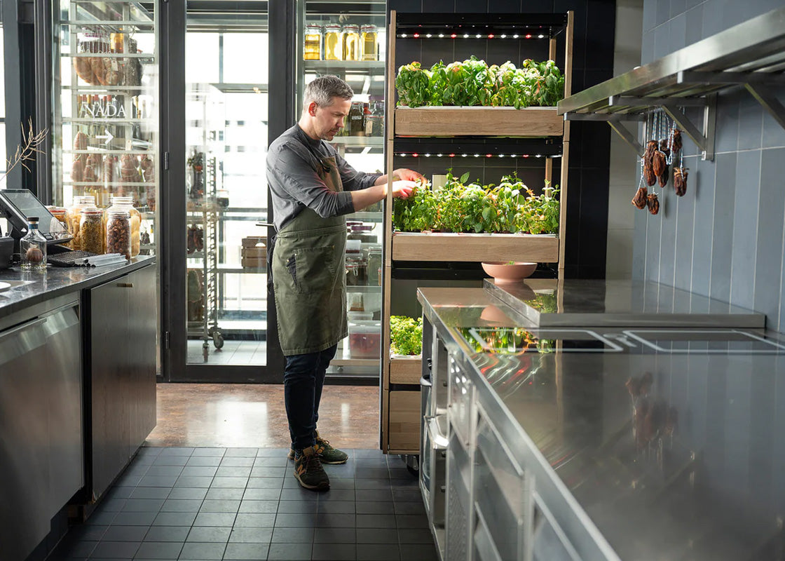 Click and Grow 25 - Svart (inkl Salad Greens 54-pack)