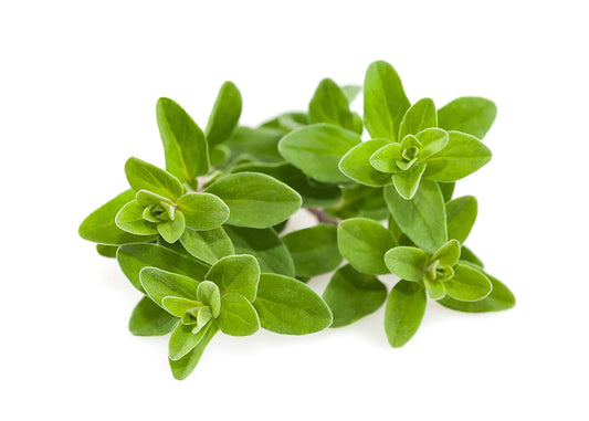 Click and Grow Smart Garden Refill 3-pack - Mejram