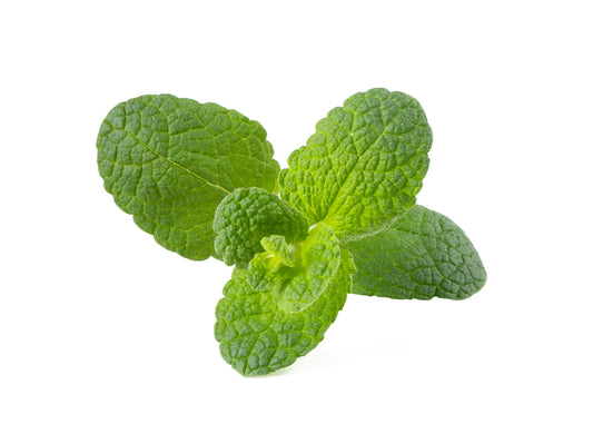 Click and Grow Smart Garden Refill 3-pack - Rundmynta