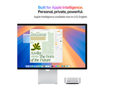 Mac Mini M4 10-Core CPU/10-Core GPU/24GB/1TB/10 Gigabit Ethernet