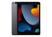 iPad 10.2" (2020) 32GB Wifi + Cellular Skick C Rymdgrå (203-784)