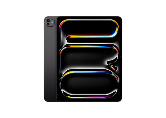 iPad Pro 13" M4 (2024) 256GB  Skick C Rymdgrå (203-927)