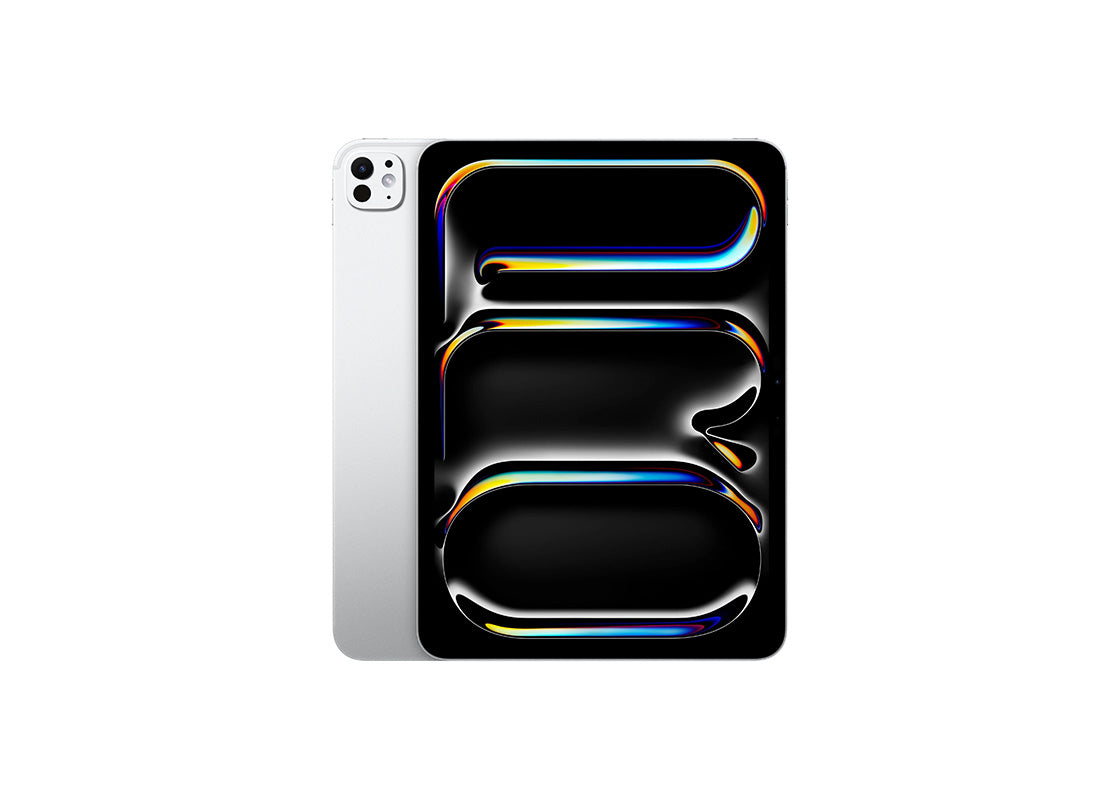 Begagnad: iPad Pro 11" M4 5th Gen (2024) 1TB WiFi - Silver (B)