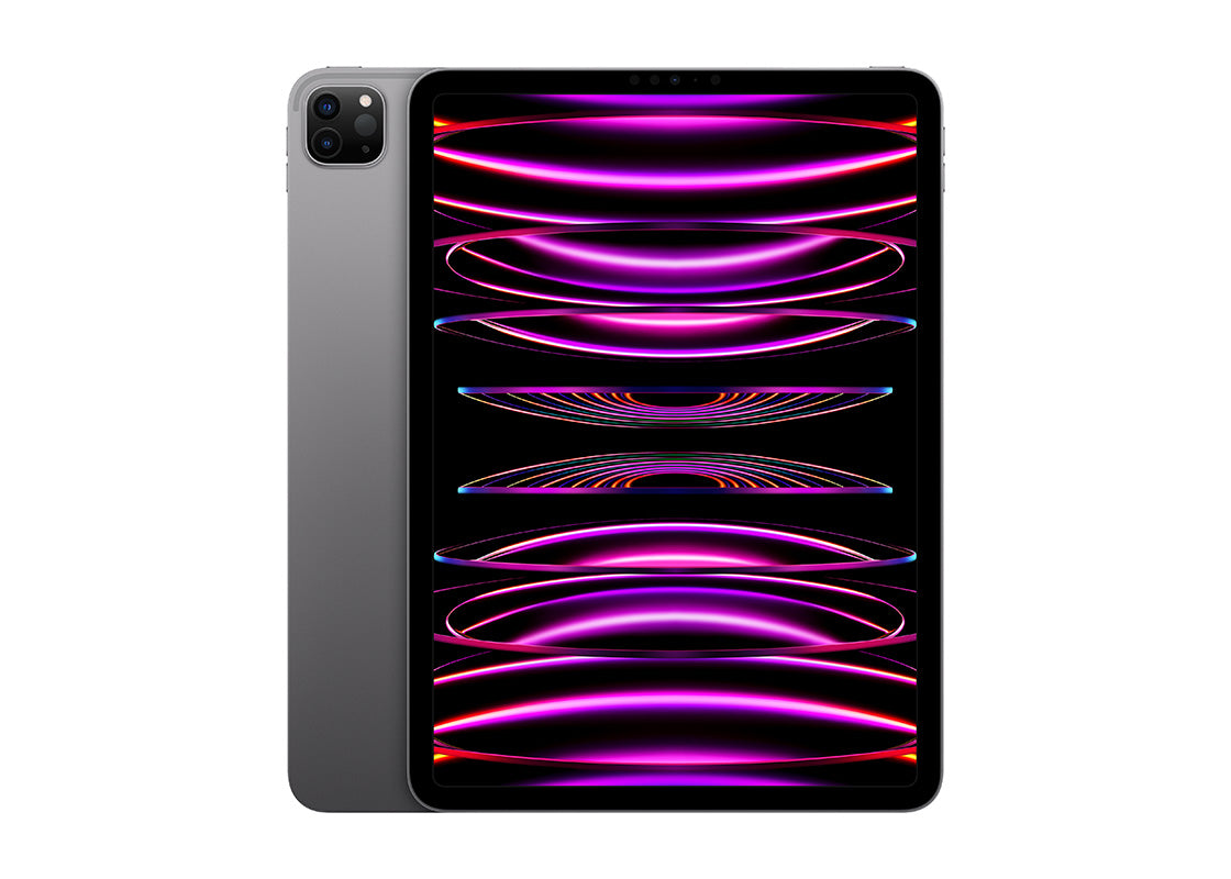 Begagnad: iPad Pro 11" 4th Gen (2022) 128GB - Rymdgrå (A)