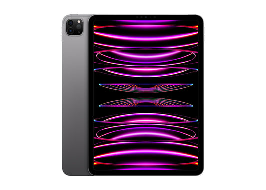 Begagnad: iPad Pro 11" 4th Gen (2022) 128GB - Rymdgrå (A)